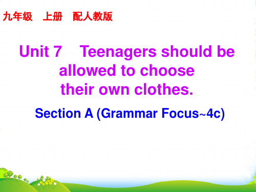 人教版九年级英语课后作业课件：Unit 7Section A (Grammar Focus~4c)