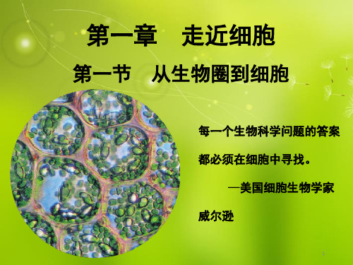 高中生物必修一 第一章第一节(课堂PPT)