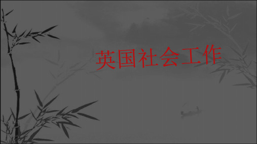 英国社会工作 PPT