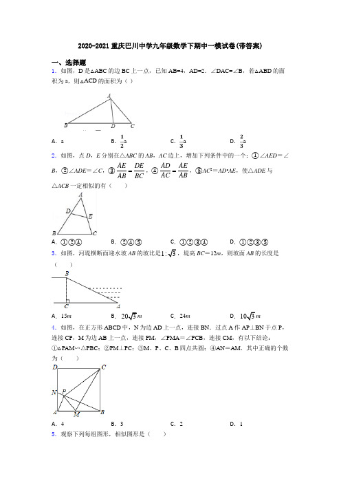 2020-2021重庆巴川中学九年级数学下期中一模试卷(带答案)
