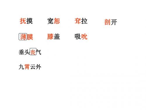 11 我和狮子