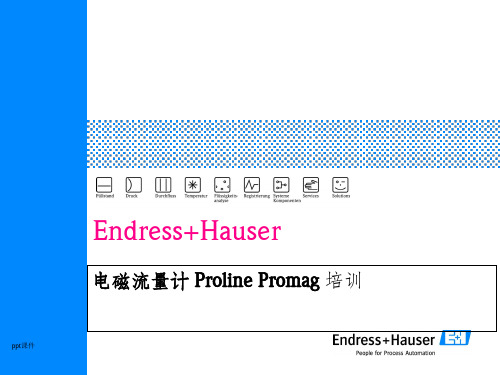 E+H电磁流量计培训资料