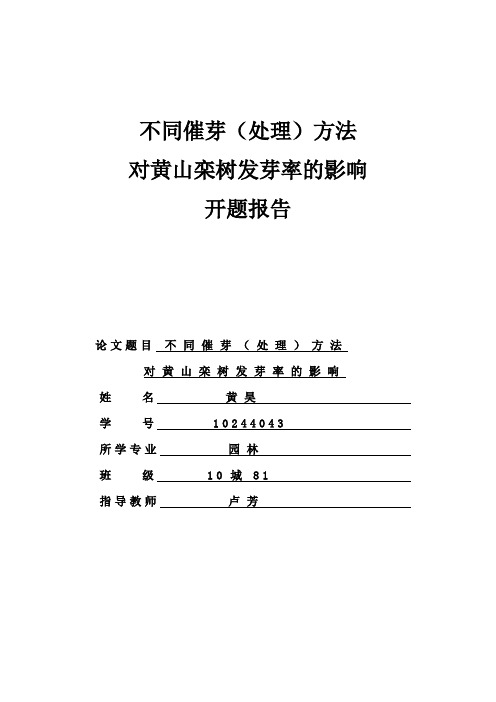 开题报告   黄昊  10244043