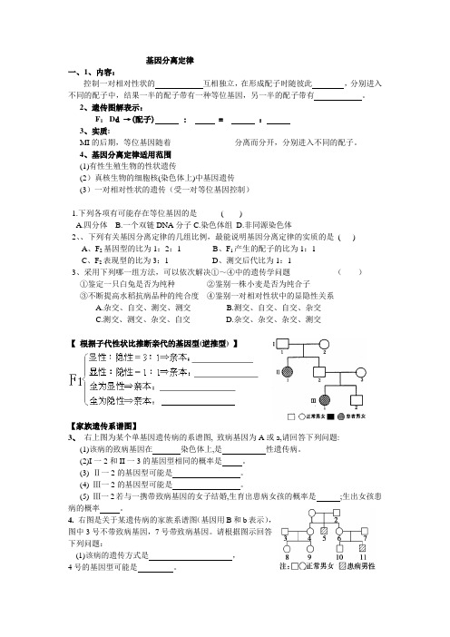 基因分离定律 学案