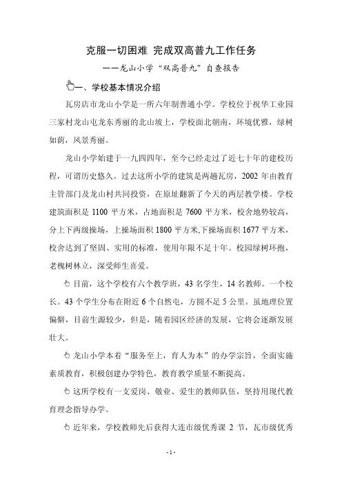 龙山小学普九自查报告20120904