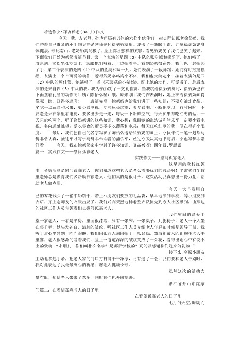 拜访孤老(700字)作文