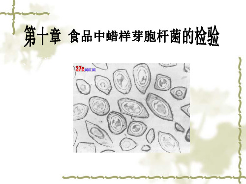 第十章食品中蜡样芽孢杆菌的检验 