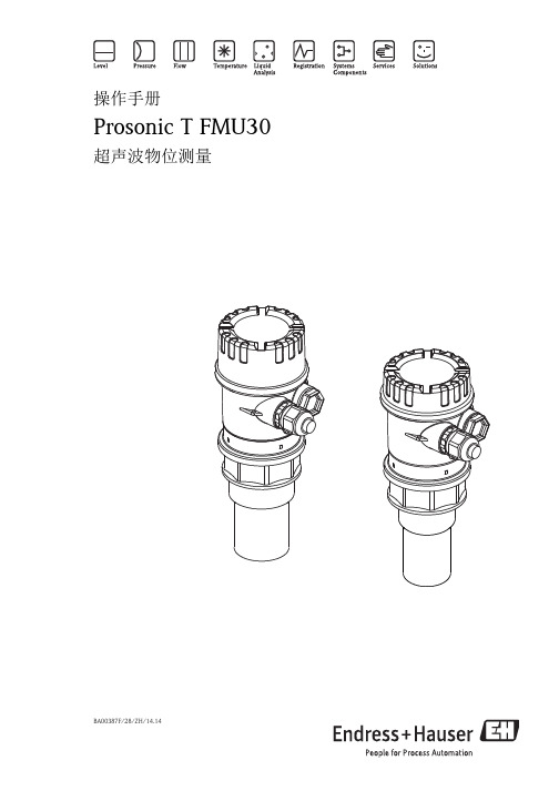 E+H超声波液位计FMU30系列说明中文版