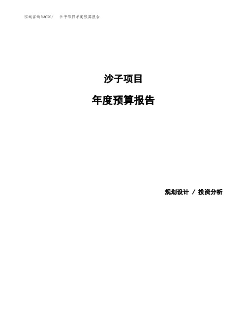沙子项目年度预算报告