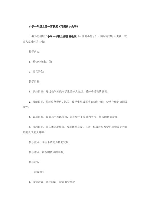 体育教案《可爱的小兔子》
