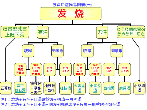 倪海厦经方治感冒简易图表ppt模板