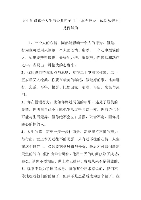人生的路感悟人生的经典句子 世上本无捷径,成功从来不是偶然的