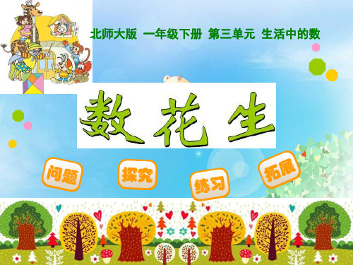 《数花生》PPT  图文