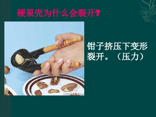 第一课四年级下册力在哪里ppt