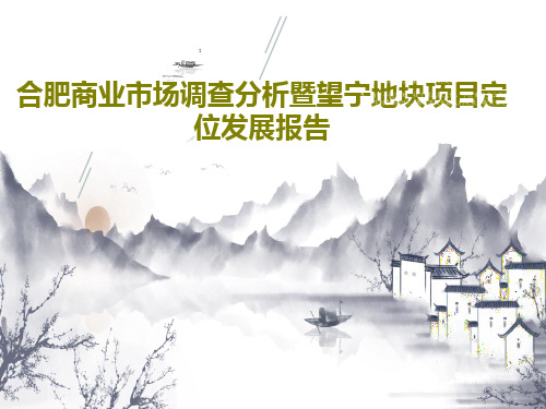 合肥商业市场调查分析暨望宁地块项目定位发展报告104页PPT