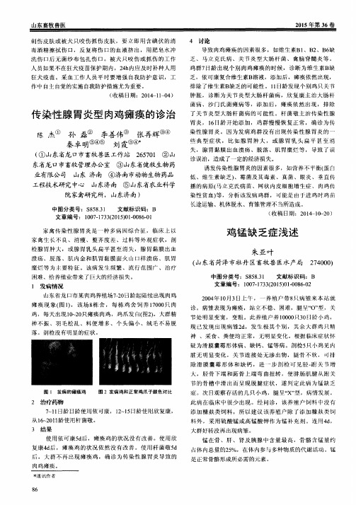 鸡锰缺乏症浅述