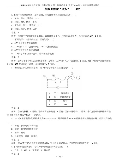2019-2020年人教版高一生物必修1《5.2细胞的能量“通货”——ATP》随堂练习卷含解析