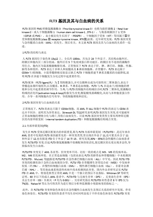 FLT3基因及其与白血病的关系