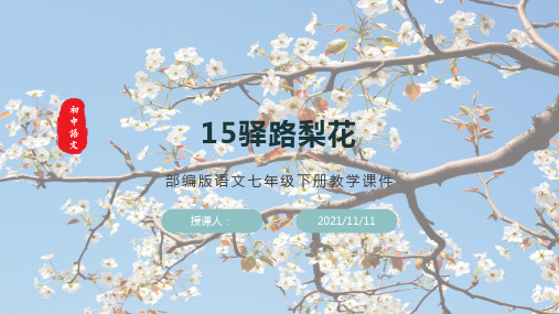 部编版语文七年级下册教学课件《驿路梨花》(含同步教案和习题)