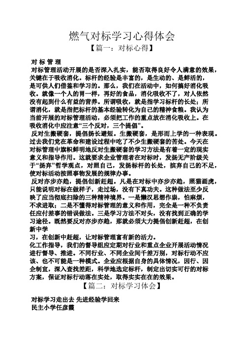燃气对标学习心得体会
