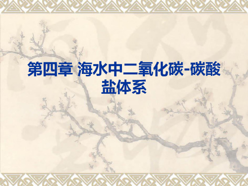 第4章海水中二氧化碳-碳酸盐体系