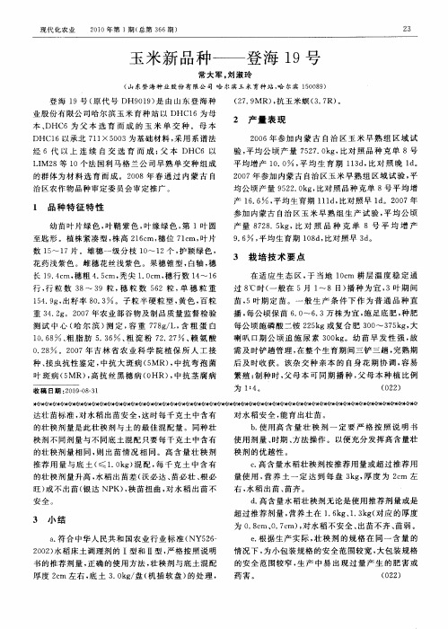 玉米新品种——登海19号
