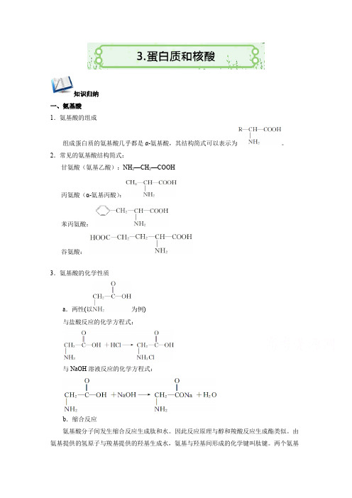 高二化学人教版选修5练习：4.3 蛋白质和核酸