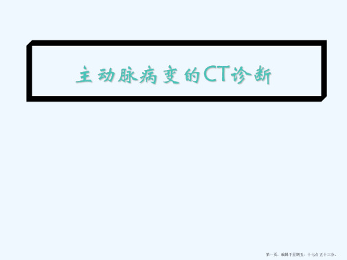 主动脉病变CT诊断资料