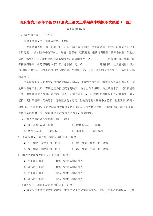 山东省滨州市邹平县高三语文上学期期末模拟考试试题(一区)