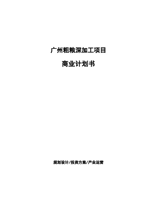 广州粗粮深加工项目商业计划书