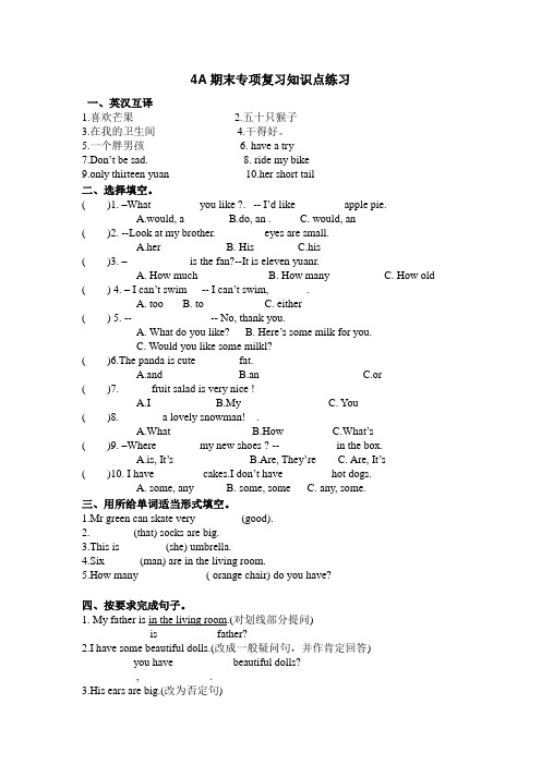 【译林版】4A期末专项复习知识点练习