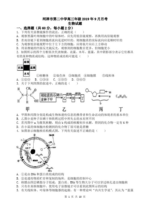 9月月考生物题