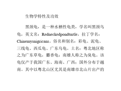 黑颈(广东草龟)