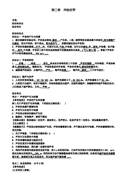 精选中考物理总复习考点第三章声的世界