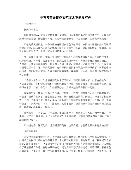中考考前必读作文范文之不能没有你