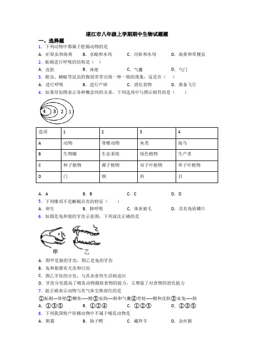 湛江市八年级上学期期中生物试题题