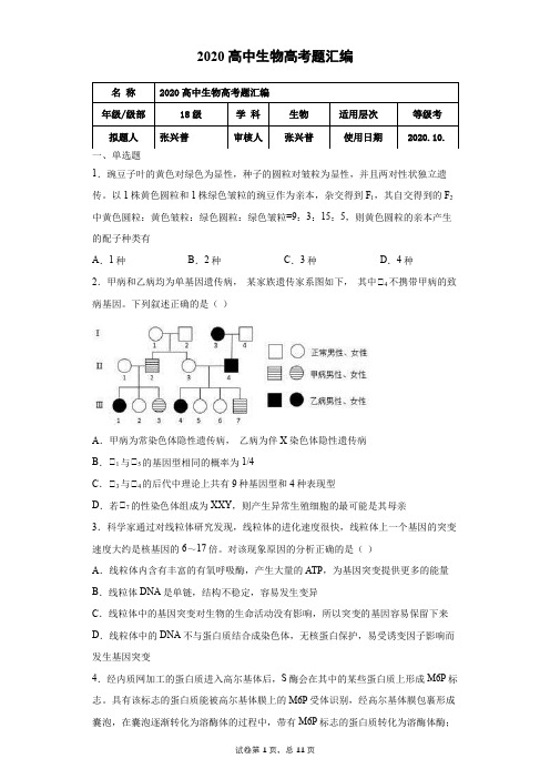 2020高中生物高考题汇编