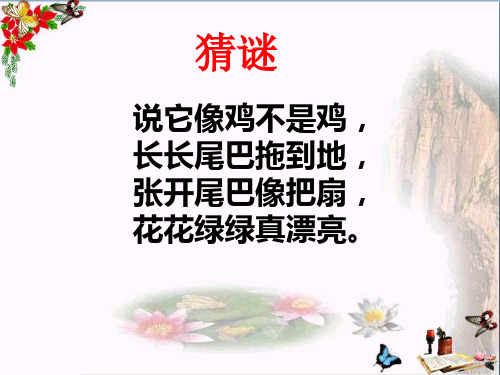 二年级美术下册第7课《美丽孔雀》 优秀课件1人教版