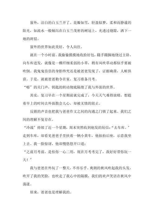 打开了心中的那把锁作文600字精选