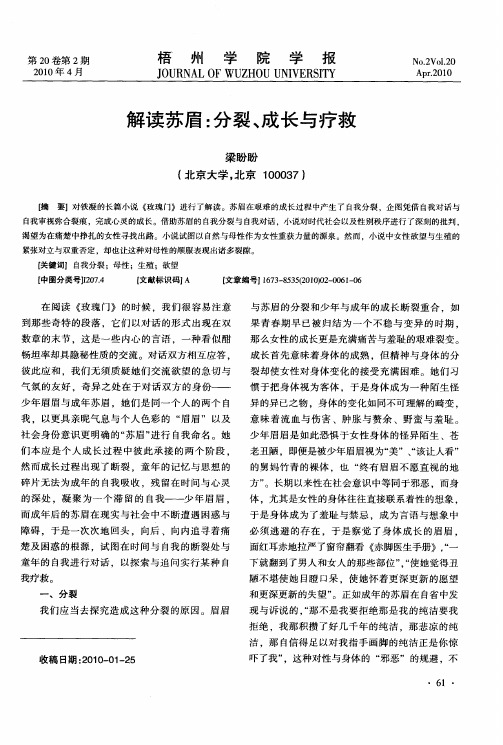 解读苏眉：分裂、成长与疗救