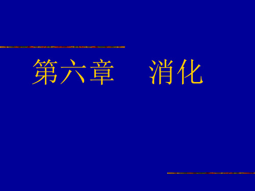 消化系统的功能.