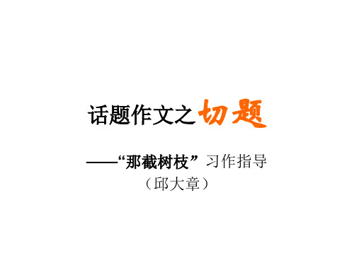 话题作文(那截树枝)1