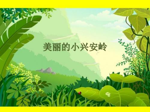 北师大版小学三年级语文下册《27 美丽的小兴安岭》观摩课示范课公开课优质课赛教课精品课件PPT