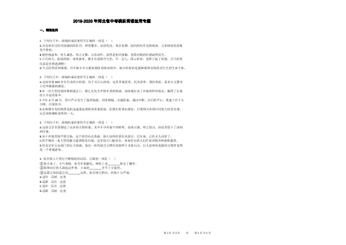 2019-2020年河北省中考模拟词语运用专题
