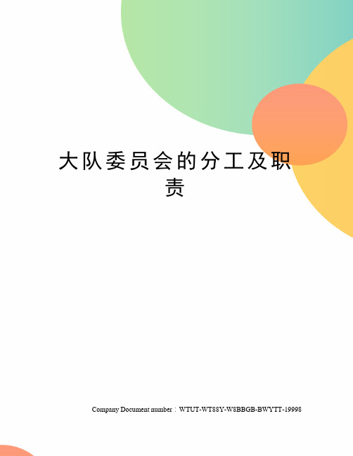 大队委员会的分工及职责
