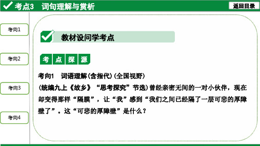 中考语文记叙文阅读 考点3  词句理解与赏析