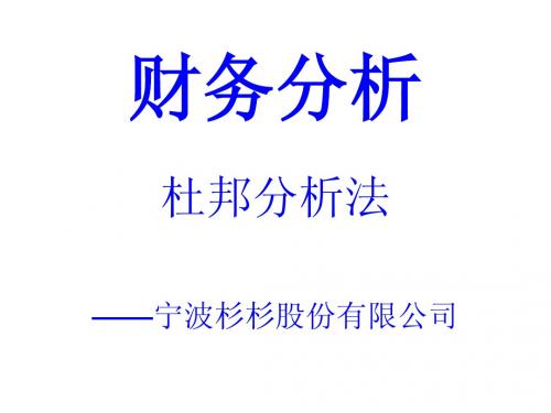 彬彬集团财务分析