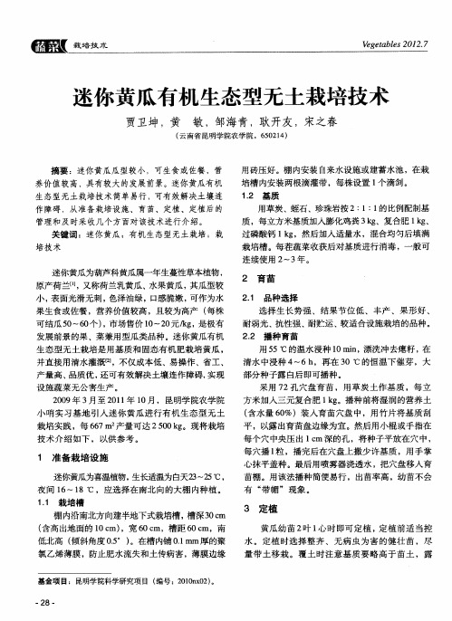迷你黄瓜有机生态型无土栽培技术