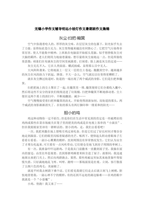 无锡小学三年级作文辅导-明远小桔灯作文李龙老师学员作文集锦