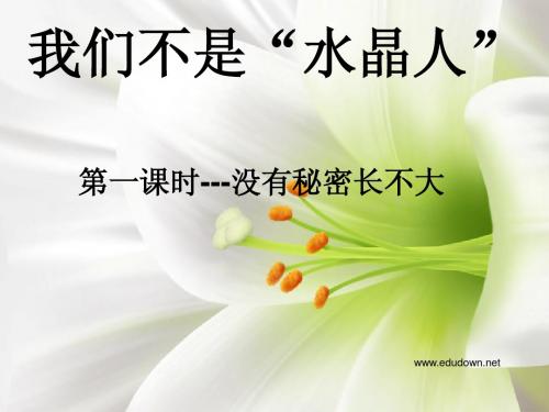 人民版思品八上《没有秘密长不大》